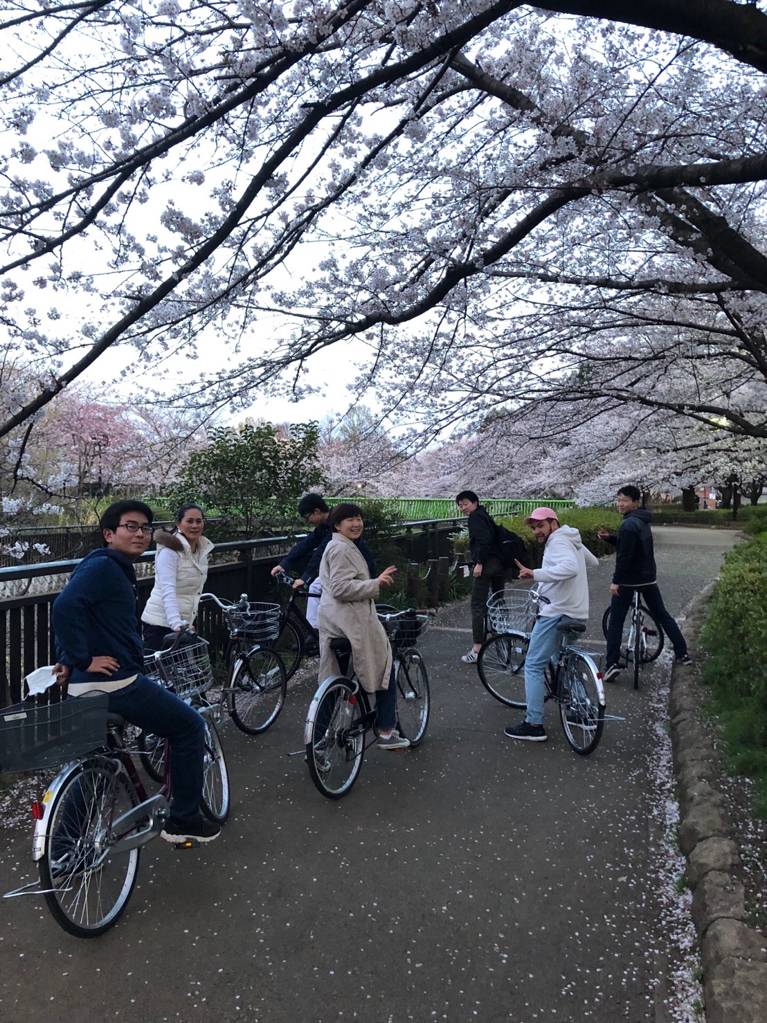 2019.4.5　自転車通学の経路案内